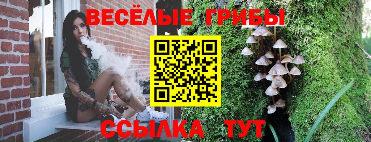 Галлюциногенные грибы MAGIC MUSHROOMS  Вход с VPN  Галлюциногенные грибы Cubensis  Валуйки 